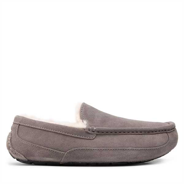 Papuče Ugg M Ascot 1101110 Sivá