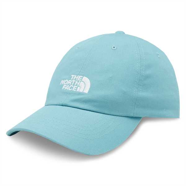 Šiltovka The North Face Norm Hat NF0A3SH3LV21 Modrá