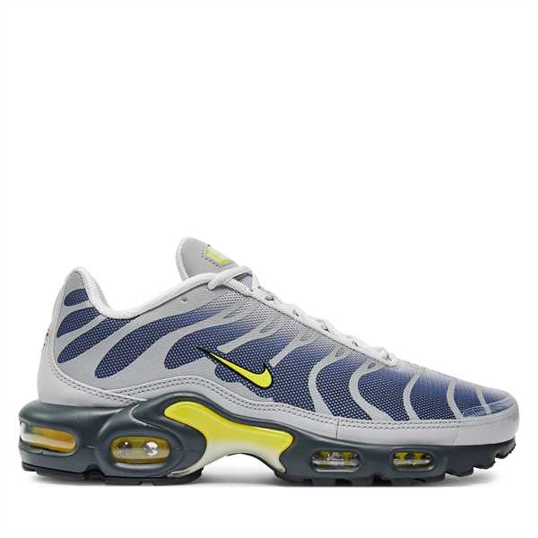 Sneakersy Nike Air Max Plus FZ4622 001 Sivá